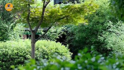 Tập 28 - Sát Thủ Tứ Quyền (Thuyết minh)_Trịnh Gia Dĩnh, Đường Nghệ Hân