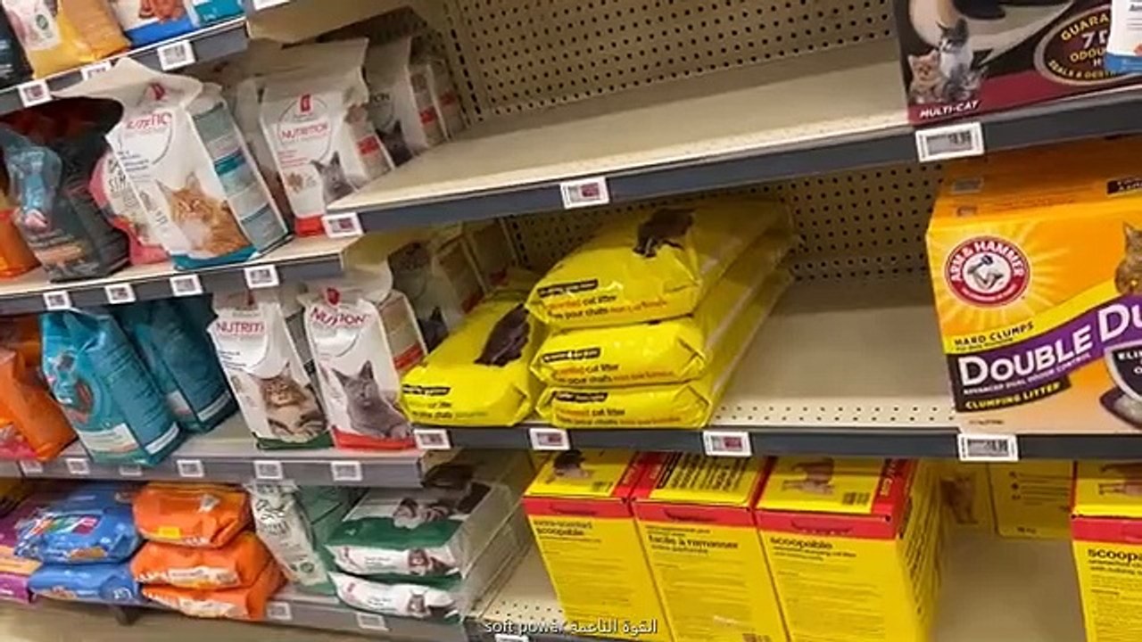الذهاب الى محل اخر من محلات بروفيقو provigo من اجل فلاح اليوم 5 من شوا