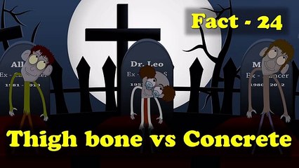Human Thigh Bone vs Concrete | Fact 24 #aumsum #kids #science #eduction #learn