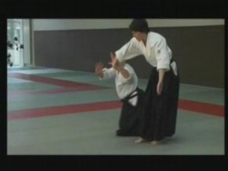 Techniques et demonstrations d'Aikido