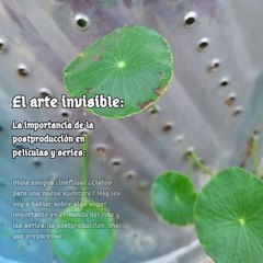 Moises Shemaria Capuano| El arte invisible (parte 1)