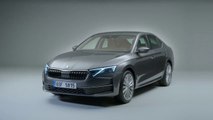 This Versatile Product Will Add Power to Match the New Golf GTI , New Skoda Octavia 2024