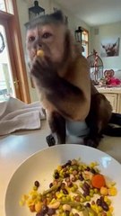 Beans make ya warm and schong on cold icy day!!