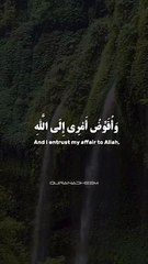 و افوض امری الی الله