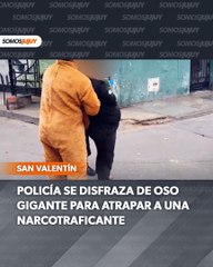 Se disfraza de oso para detener a una delincuente