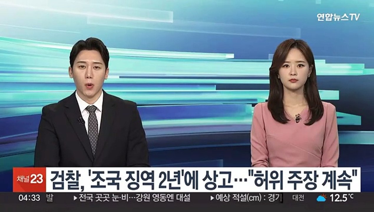 검찰, '조국 징역 2년'에 상고…"허위 주장 계속"