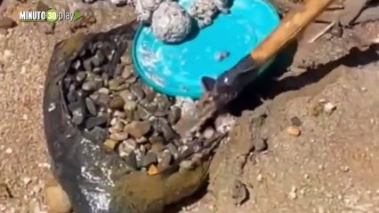 'Qué sorpresa': Baja el nivel del agua en el embalse Guatapé y encuentran "amarre" de una mujer