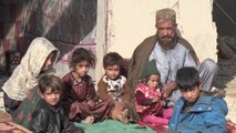 نصف مليون أفغاني عادوا من اللجوء.. ومنظمات دولية تحذر