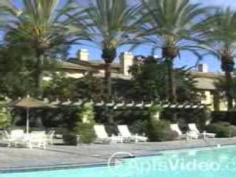 ForRent.com-St. Moritz Resort Apartments For Rent in ...