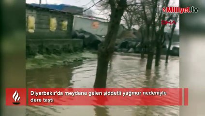 Diyarbakır'da sağanak sonucu dere taştı! Evler, ahırlar sular altında kaldı