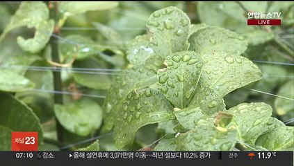 [날씨] 오늘 전국 대부분 눈·비…고온 현상 누그러져
