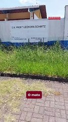Mato tomou conta de escola de Gravatá