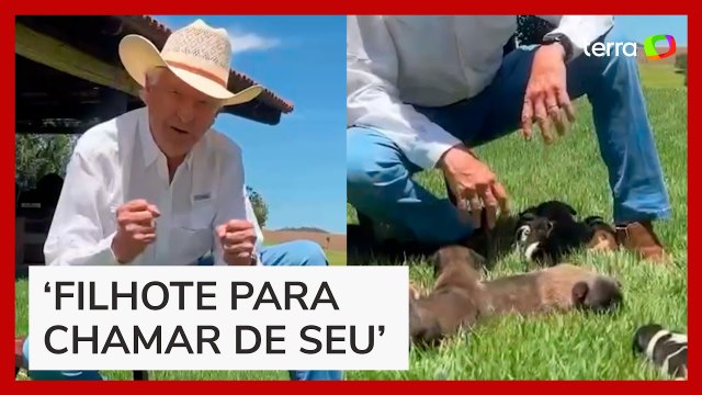 Governador de Goiás é criticado após anunciar sorteio de filhotes de cachorro para seguidores