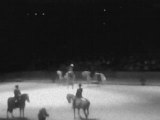 Spectacle des 4 EcOles d'Art Equestre...