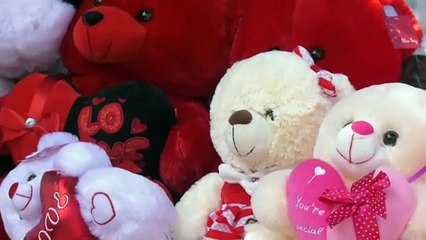 WHAT DOES VALENTINE'S DAY MEAN TO YOU?