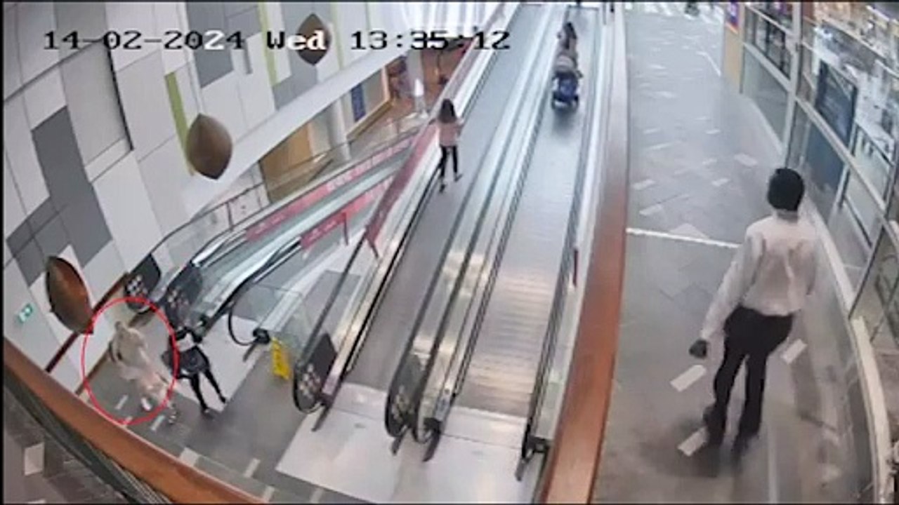 CCTV shows man allegedly trying to steal cash from woman at ATM