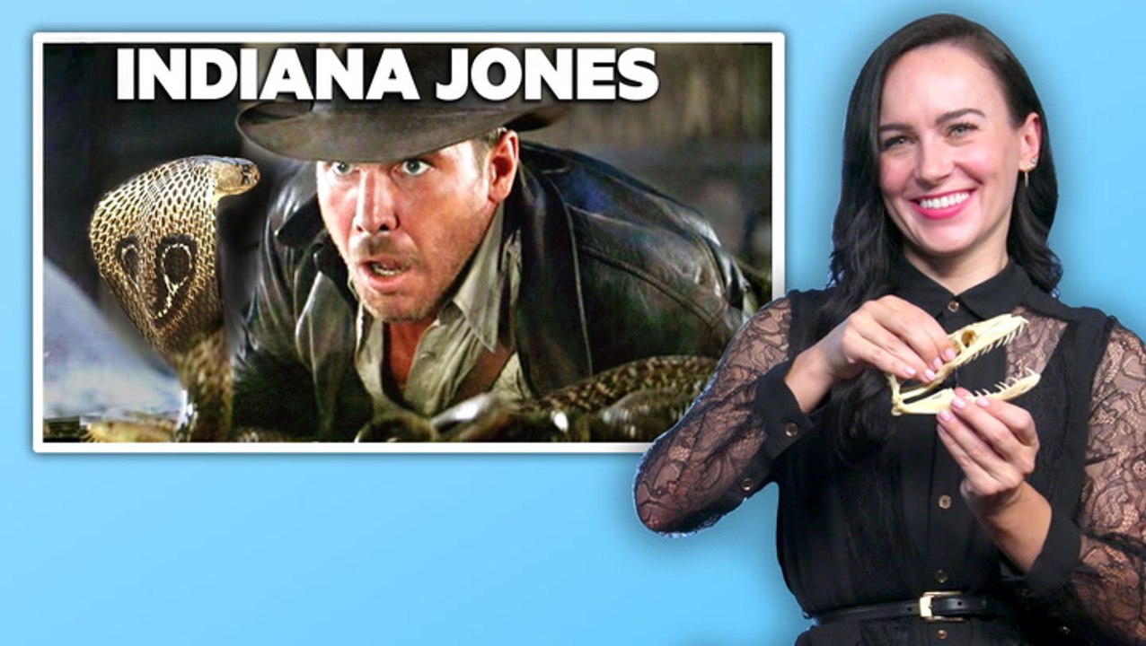 Snake expert rates 11 snake attacks in movies for accuracy