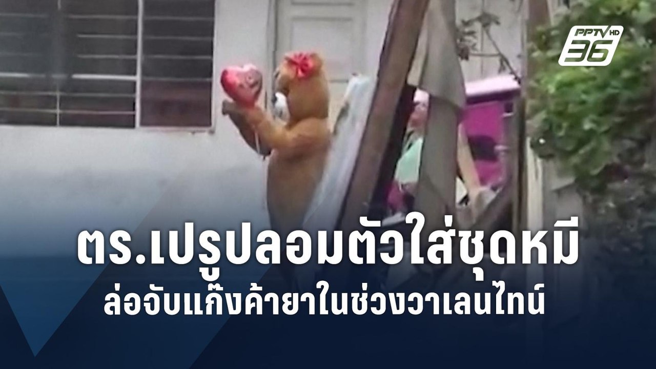 ตร.เปรูปลอมตัวใส่ชุดหมีล่อจับแก๊งค้ายาในช่วงวาเลนไทน์ | ข่าวต่างประเทศ | PPTV Online