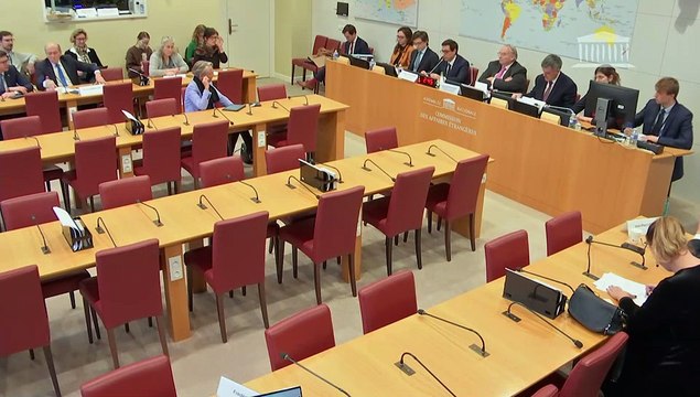 Commission des affaires étrangères : M. Stéphane Séjourné, ministre de l’Europe et des affaires étrangères - Mercredi 14 février 2024