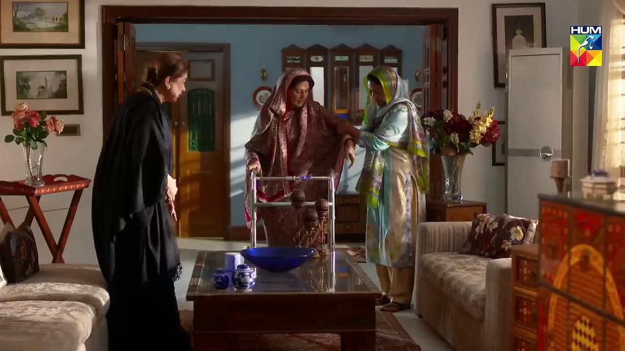 Aatish Episode #28 HUM TV Drama 25 February 2019