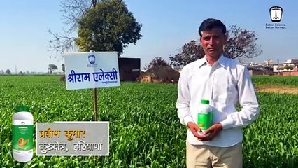 Exceptional Results with 'Shriram Aleksy' Spray on 40 Acres