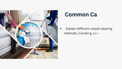 Revitalize Your Home - The Ultimate Guide to Carpet Cleaning in Washington DC