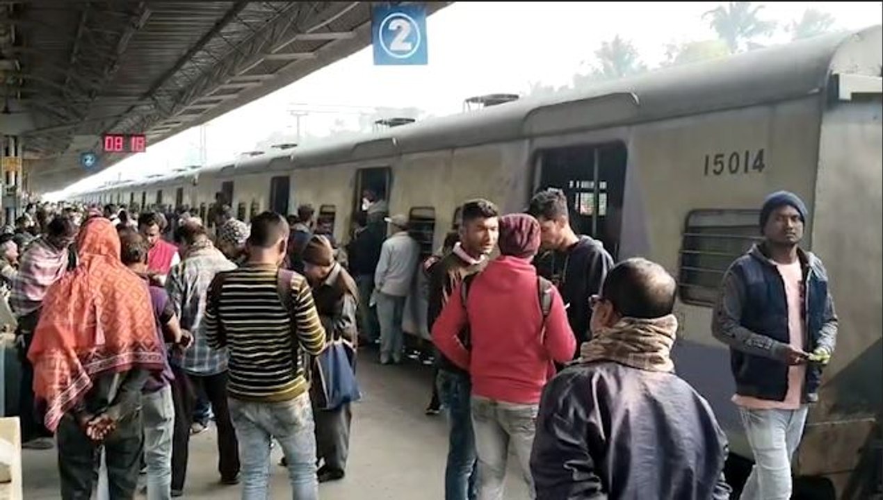 কুন্তিঘাটে Rail-এর Pantograph ভেঙে বিপত্তি! ব্যাহত Rail পরিষেবা, সমস্যায় যাত্রীরা