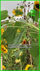 SIMONE - NEWS : Pas de roses pour la Saint-Valentin !