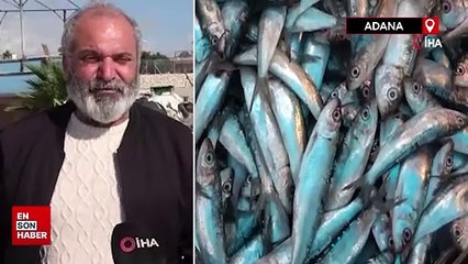 Balık sofraya ulaşıncaya kadar fiyatı yüzde 200 artıyor