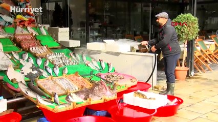 Uzman isim uyardı: Karadeniz'de hamsi kalmayacak, 50 dereceyi görmemiz çok yüksek