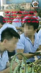 Xác định nguyên nhân ban đầu vụ 3 học viên cai nghiện ma túy tử vong