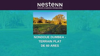Terrain à vendre  à Nondoué : Votre Projet Immobilier Commence Ici !