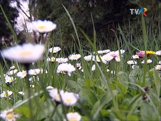 Florica Ungur - Pe calea de sezatoare (arhiva TVR - 2010)
