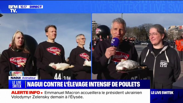 Cette taille là pour vivre, c'est indécent : le coup de gueule de Nagui sur BFMTV contre l'élevage intensif de poulets