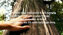 1845344-video