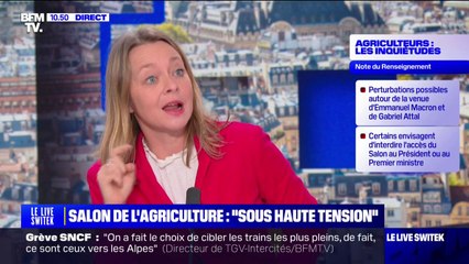 Download Video: Un Salon de l'agriculture 