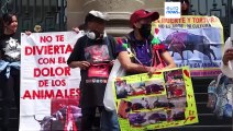 El regreso de las corridas de toros en la Ciudad de México provoca indignación entre activistas
