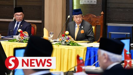 Remain calm, wait for outcome of special committee's study, says Selangor Ruler