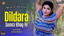 Pashto New Song 2024 | Dildara Somra Khog Ye | Bushra Kanwal | Arzoo Naaz