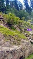 #shortsyoutube #nature #decent #travel #shorts #way to #naran #road #mountains