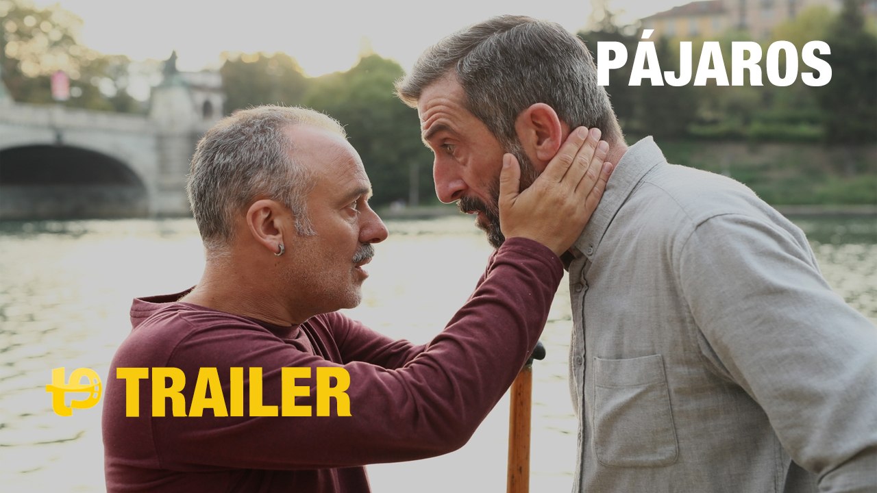 Pájaros - Trailer