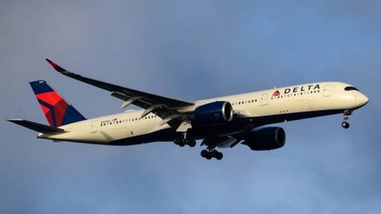 Un Vuelo Da Media Vuelta Después De Que Cayeran Gusanos Sobre Los Pasajeros