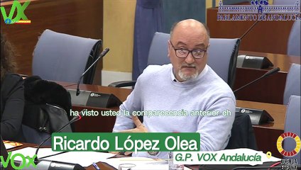Ricardo López Olea. Relativo a la lucha contra la violencia de género en Andalucía. 14.02.2024