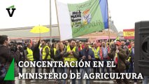Los agricultores se concentran en el Ministerio de Agricultura y tiran huevos contra el edificio