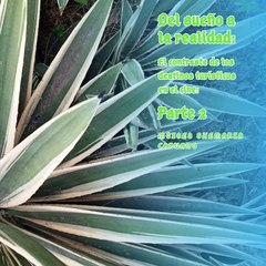 Moises Shemaria Capuano| A veces (parte 2)