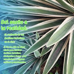 Moises Shemaria Capuano| Solo recuerda que (parte 3)