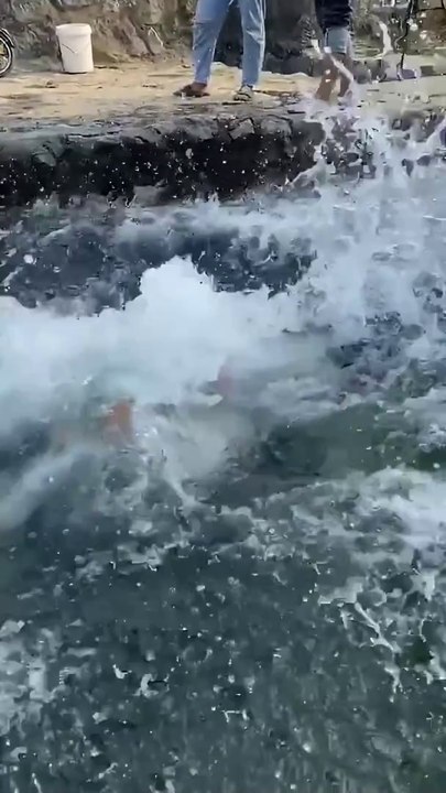 Fun