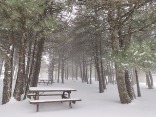 Spil Dağı'nın beyaz güzelliği