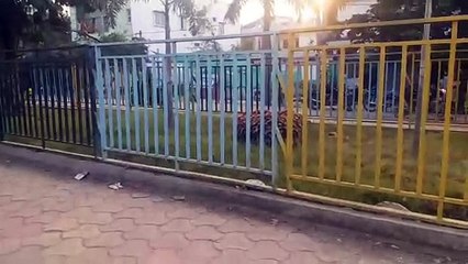 Beautification of Nyas Colony Satra Road