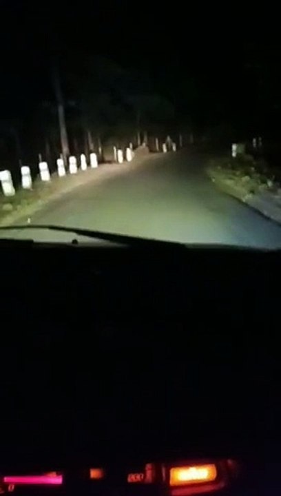 Leopard seen on Tavanagar road, people in panic